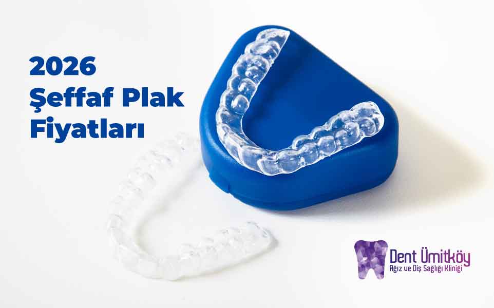 2026 Şeffaf Plak Fiyatları