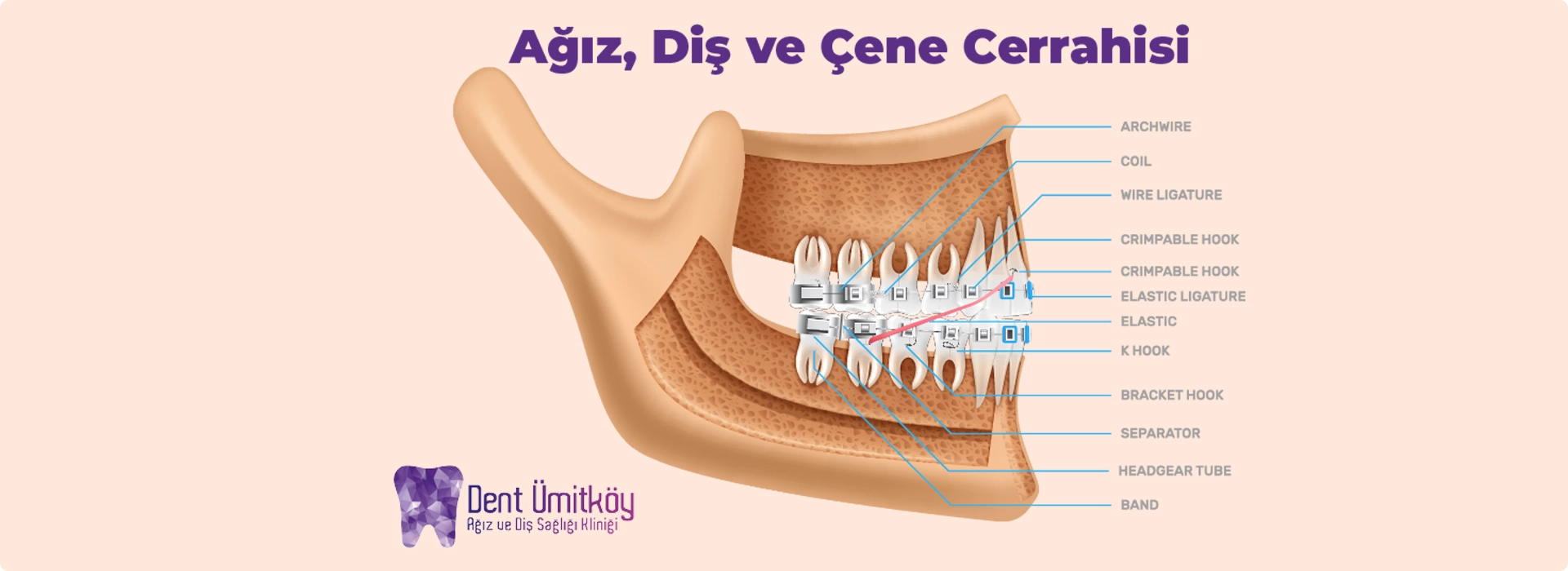 Ankara Ağız, Diş ve Çene Cerrahisi